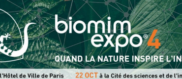 Quand la nature se propose en ingénieur en chef