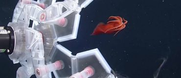 Revue du web #116 spéciale robotique : les 6 vidéos les plus étonnantes