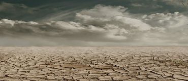 De nouveaux défis pour la compensation carbone