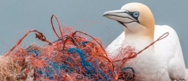 Clean Oceans : 2 milliards d'euros contre la pollution plastique