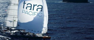 Retour de l'expédition Tara Pacific : des constats inattendus sur un patchwork corallien