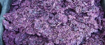 Le marc de raisin fait rouler les autocars