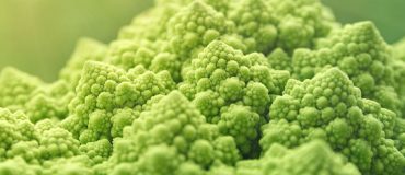 Perturbateurs endocriniens : la nouvelle stratégie nationale dévoilée