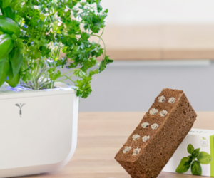 Potager Exky : l’innovation dans votre cuisine