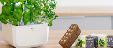 Potager Exky : l’innovation dans votre cuisine