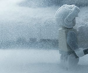 TOP 5 : les articles les plus lus #2018