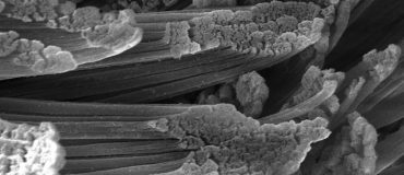 Matériaux programmables : le potentiel des polymères