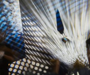 Laval Virtual 2019 : les innovations à retenir