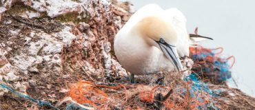 Expédition 7e continent en quête de nanoplastiques en Méditerranée