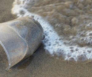 Le WWF veut mettre fin à la pollution plastique d’ici 2030