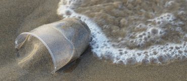 Le WWF veut mettre fin à la pollution plastique d’ici 2030