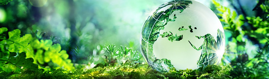 Crise énergétique et inflation