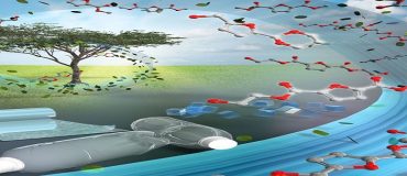 Un procédé plus écologique pour la production de plastique biosourcé
