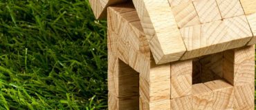 La nanostructure du bois vivant enfin révélée : vers des superstructures en bois ?