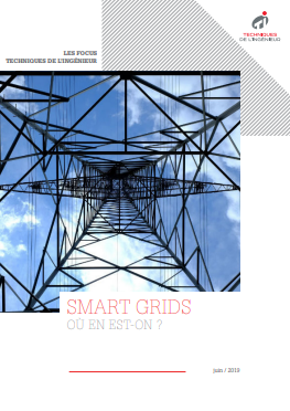 Les Smart grids en 2019 : où en est-on ? / Livre blanc