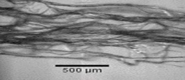 Production simple, rapide et à haut débit de fibres de polymères