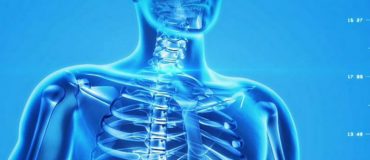 Des revêtements en verre bioactifs pour la fabrication d'implants osseux