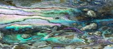 Un verre souple biomimétique qui s’inspire de la nacre des coquillages