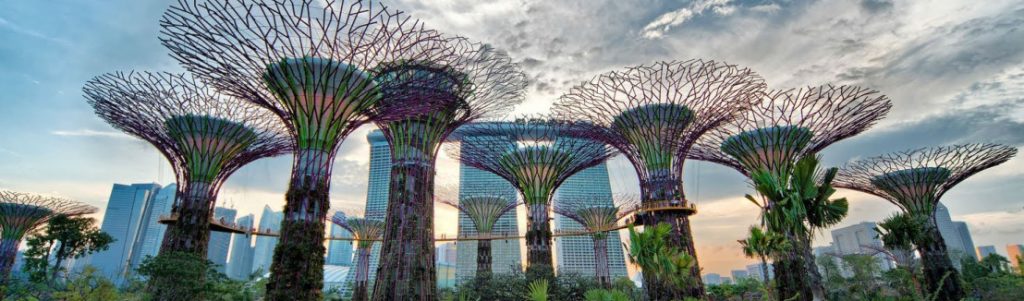 Biomimétisme en architecture : Vers une conception régénérative