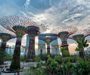 Biomimétisme en architecture : Vers une conception régénérative