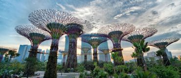 Biomimétisme en architecture : Vers une conception régénérative