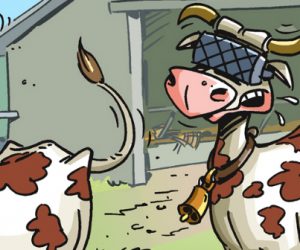 En image : les vaches, nouvelles cibles des casques VR ?