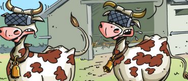 En image : les vaches, nouvelles cibles des casques VR&nbsp;?