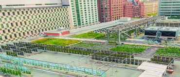 L'agriculture urbaine ou l'implication des citoyens dans leur lieu de vie