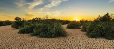 Le réchauffement climatique menace la France