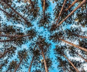 Quels défis climatiques devrons-nous relever en 2020 ?