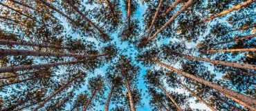 Quels défis climatiques devrons-nous relever en 2020 ?