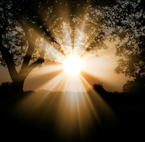 Quels défis climatiques devrons-nous relever en 2020 ?