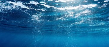 L’océan, entre connu et inconnues