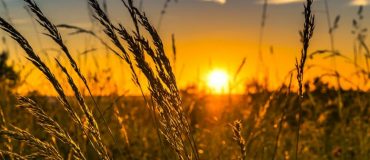 L’ADEME mise sur le monde agricole pour réduire les émissions de GES