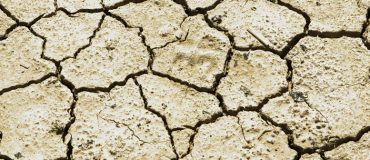 Une aridité renforcée transformera les paysages