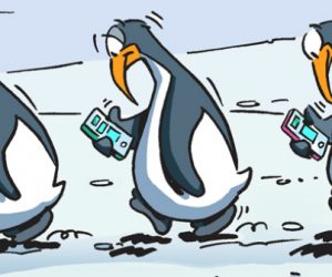 En image : selon une étude, les manchots communiquent comme les humains...