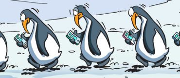 En image : selon une étude, les manchots communiquent comme les humains...