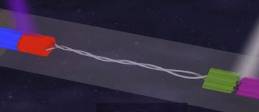 Des moteurs moléculaires aux matériaux actifs et intelligents