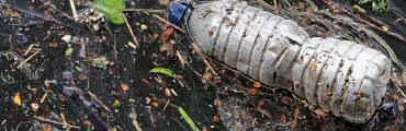 Manipuler des emballages en plastique libère des microplastiques