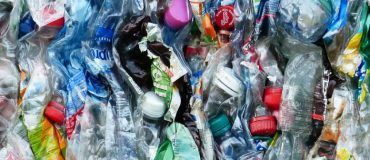 L’évaluation de la biodégradabilité des plastiques : un défi !