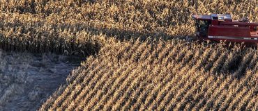 L'alimentation fédère, l'agroalimentaire suit... des satisfactions illusoires ?