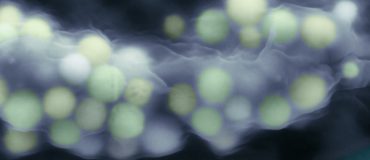 Une bactérie capable de décontaminer les eaux radioactives