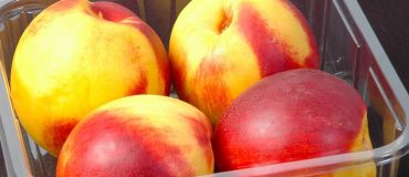 (RE)SET veut réinventer les emballages en plastique