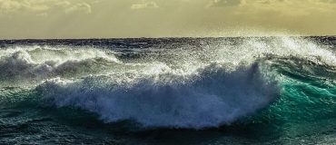 Le meilleur de la tech #10