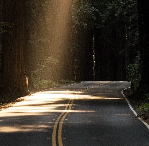 Penser l’après Covid-19 : vers quels modèles économiques se tourner ?