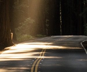 Penser l’après Covid-19 : vers quels modèles économiques se tourner ?