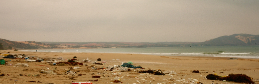 Un algorithme pour détecter les plastiques flottants par satellite