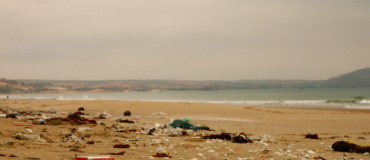 Un algorithme pour détecter les plastiques flottants par satellite