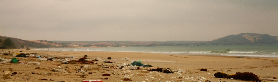 Un algorithme pour détecter les plastiques flottants par satellite