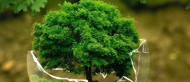 Le monde ne progresse (presque) plus vers le développement durable